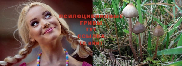 меф Заводоуковск