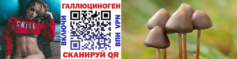 Галлюциногенные грибы прущие грибы магазин продажи наркотиков Инсар